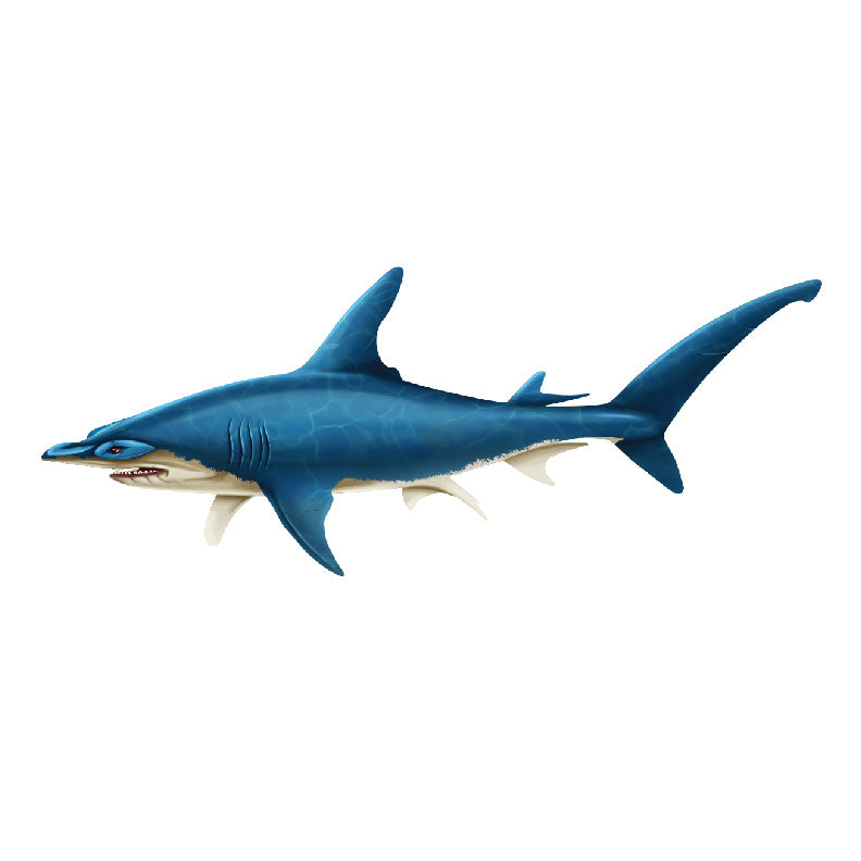 Hammerhead Shark