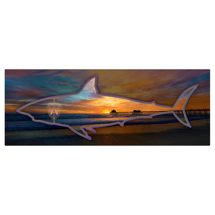 HB Sunset Purple with Pin Stripe Shark