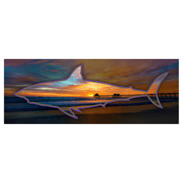 HB Sunset Purple Shark